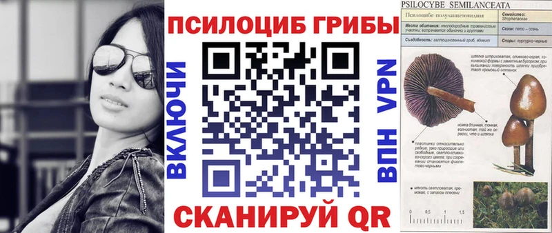 хочу наркоту  Юхнов  Псилоцибиновые грибы Psilocybe 